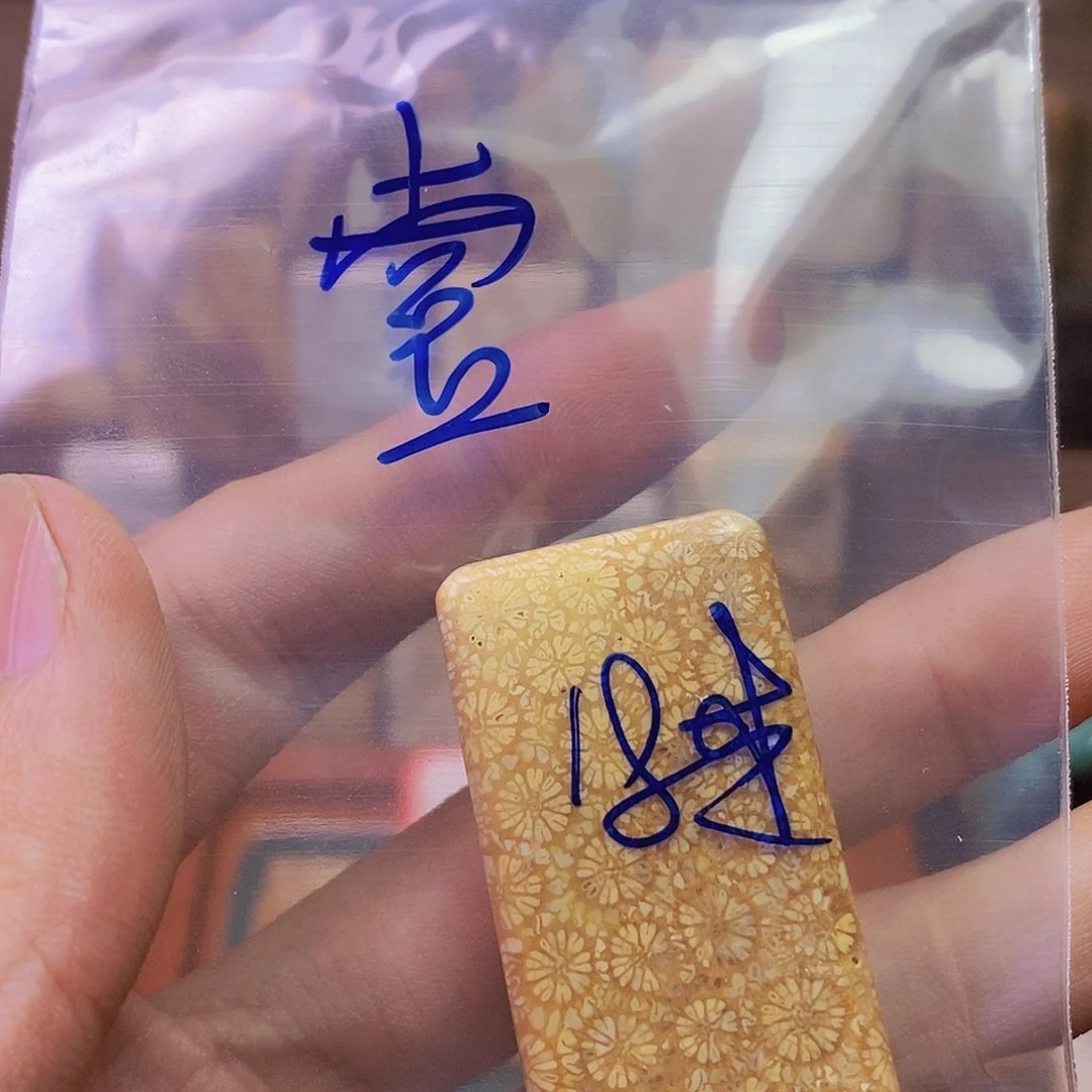 硅化珊瑚（珊瑚玉）吊坠未镶嵌壹*