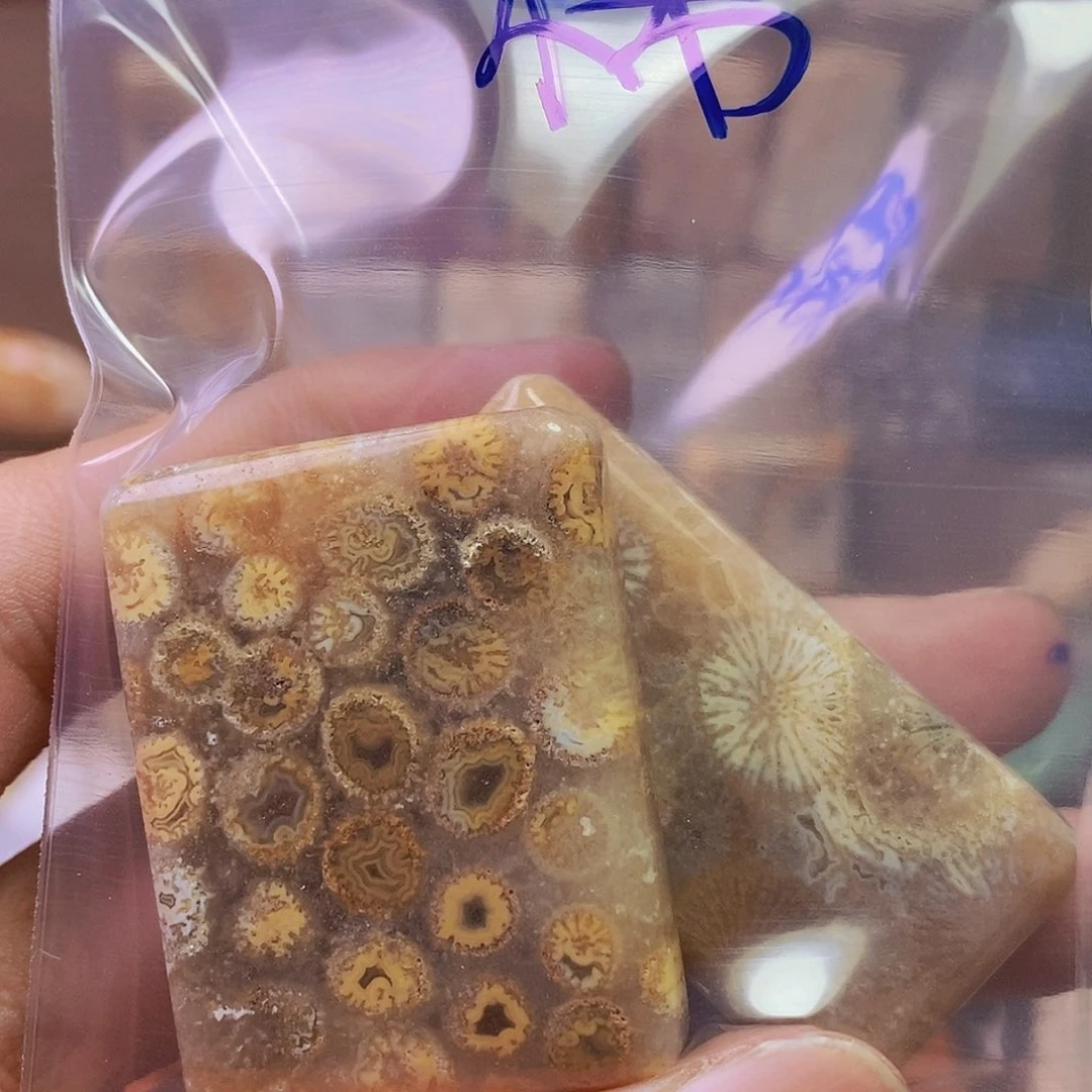 硅化珊瑚（珊瑚玉）吊坠未镶嵌来*