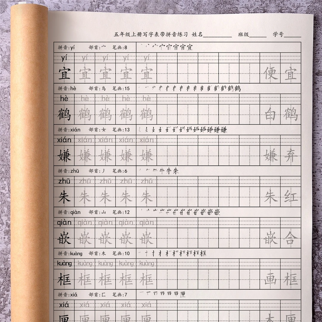 人教版五年级上册生字练字帖小学生同步写字表识字表每日一练描红