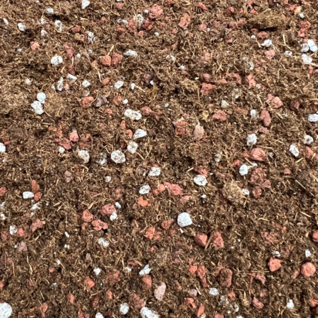 百分之五十多肉植物专用品氏营养颗粒土