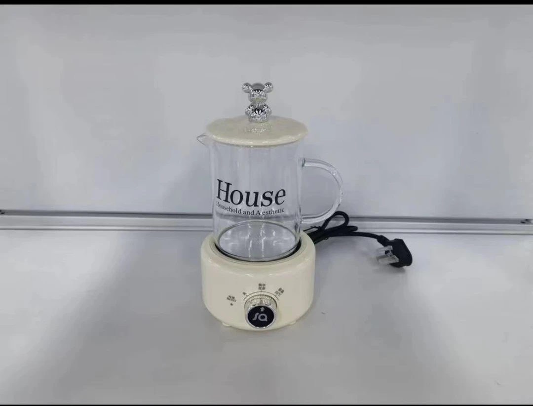 多功能电热杯养生杯养生壶迷你办公室电炖杯玻璃壶【孤品介意勿拍】