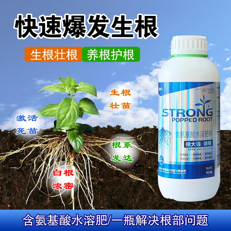 【爆根】快速生根壮根养根护根低温生根含氨基酸水溶肥