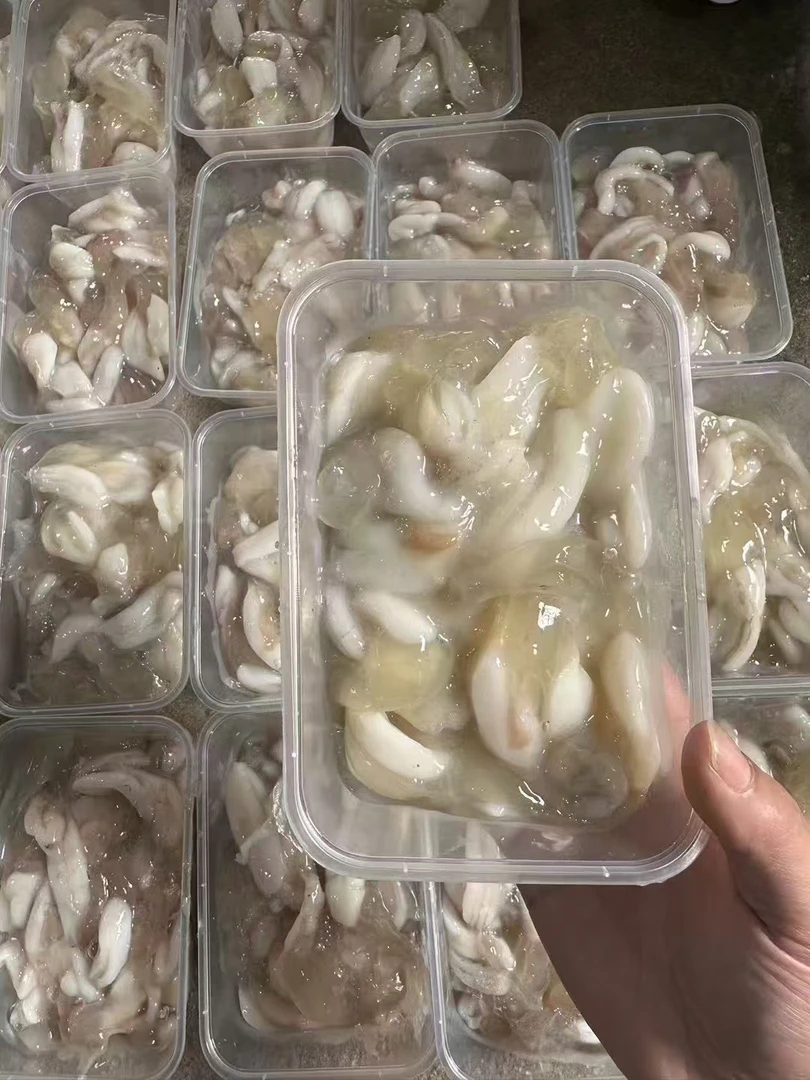 汕尾本港 鱿鱼饭哈哈