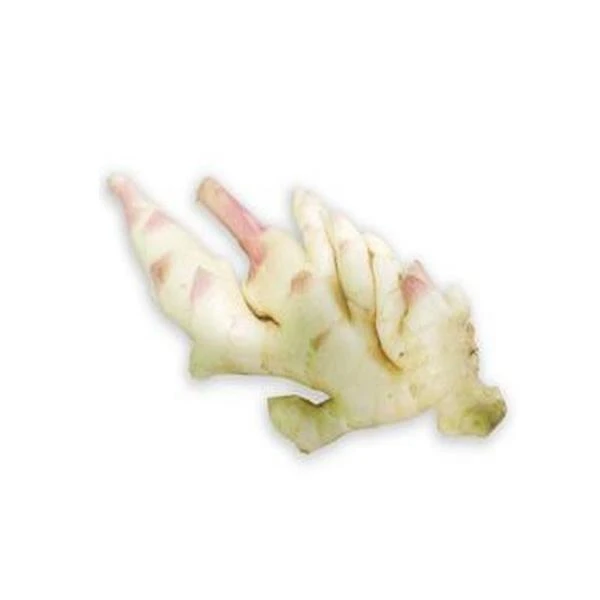洗仔姜500g±20g