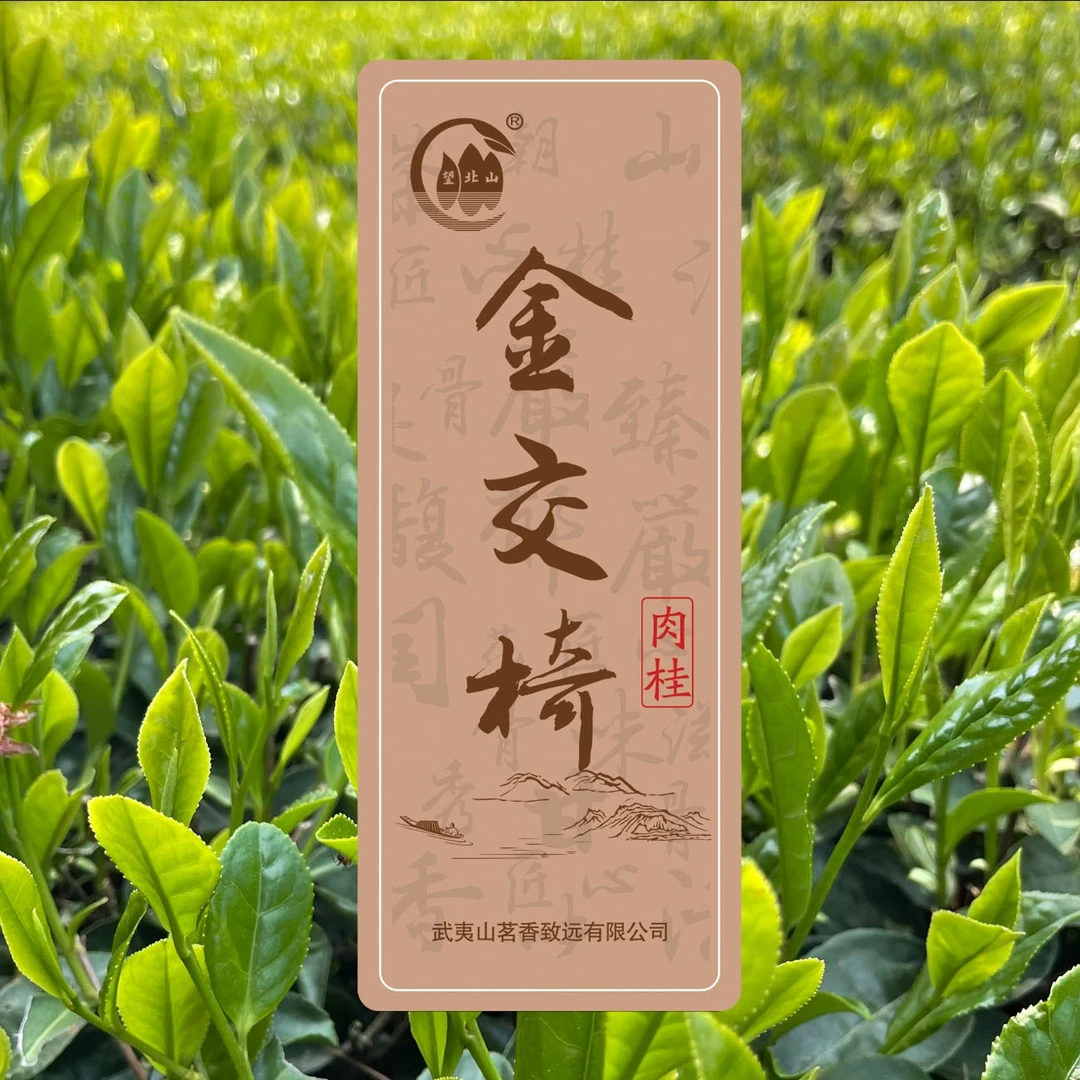 【金交椅肉桂两泡品鉴】青草芳香 回甘持久 武夷岩茶16.6g