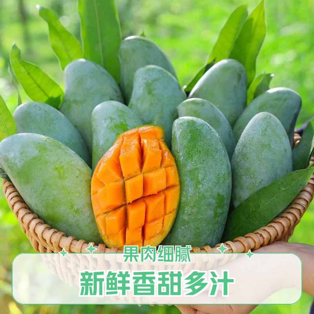 产地直发 广西桂七芒3/5/8斤整箱装香甜芒果青芒新鲜当季水果包邮