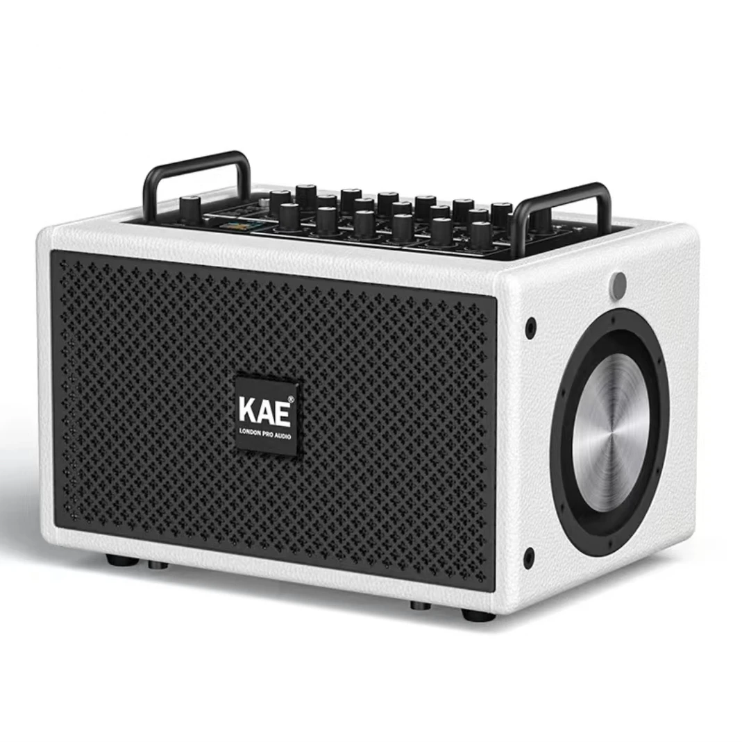 KAE M5乐器专用音响数字无损环绕立体声弹唱电吹管萨克斯直播音箱