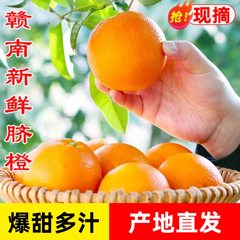 正宗赣南脐橙赣州橙子应季当季水果新鲜甜橙手剥坏果包赔产地直发