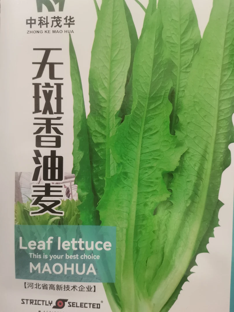 精品抗热耐寒耐高温甜脆无斑香油麦