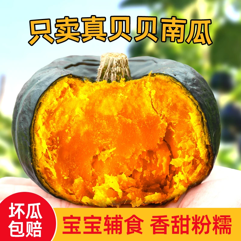 [适合代餐]正宗贝贝南瓜现摘粉糯板栗味宝宝辅食代餐不粉包赔