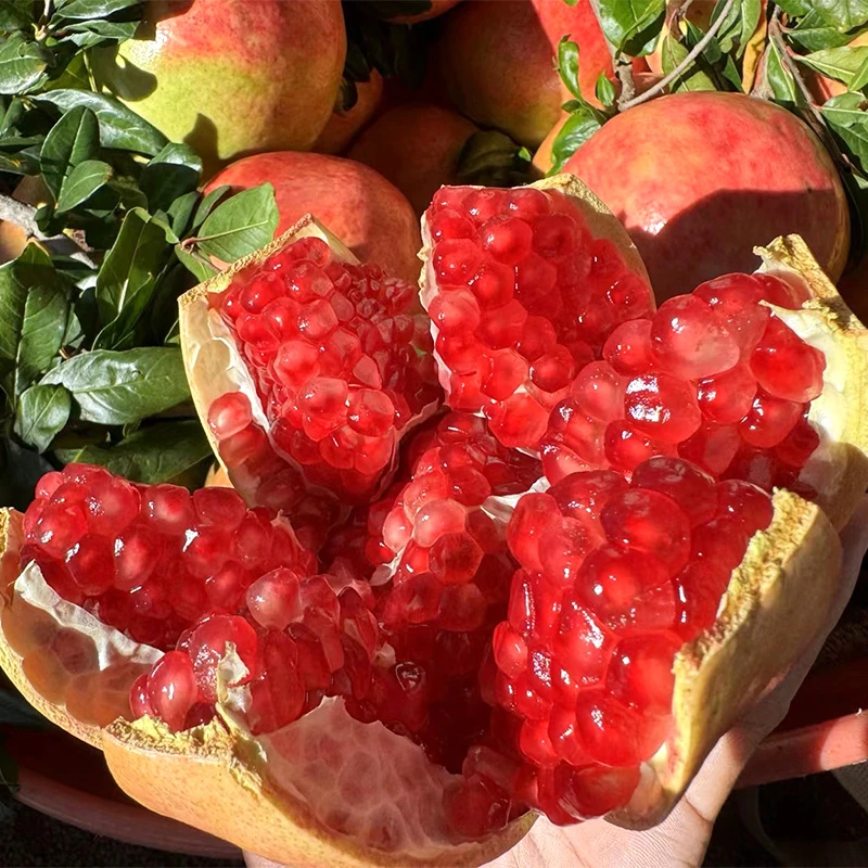 香甜四川会理石榴鲜甜当季水果饱满新鲜采摘新鲜营养孕妇皮薄爆汁
