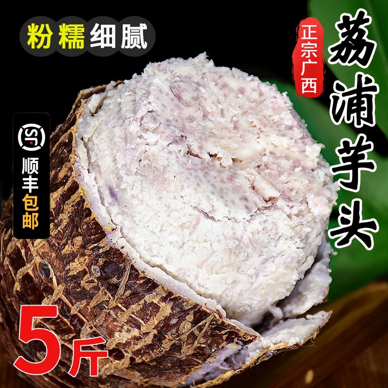 广西新鲜荔浦香芋头大个好品质口感细腻浓郁皮薄饱满香味芋头种植