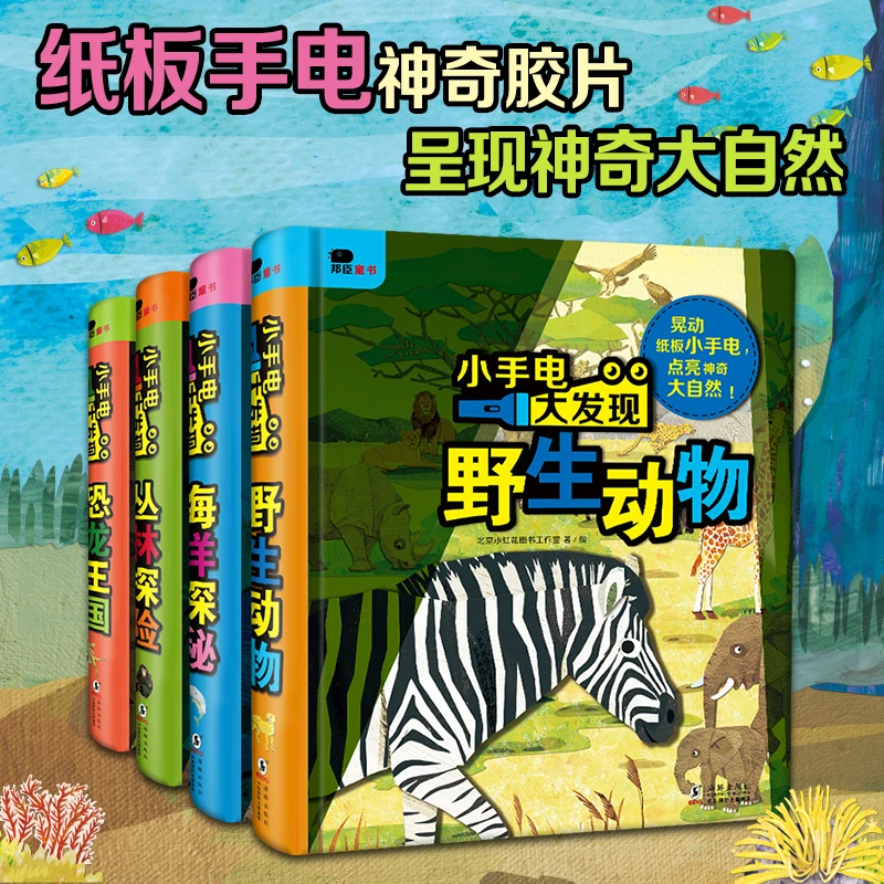 小手电大发现点亮神奇大自然  趣味好玩的手电科普探索主题3岁宝