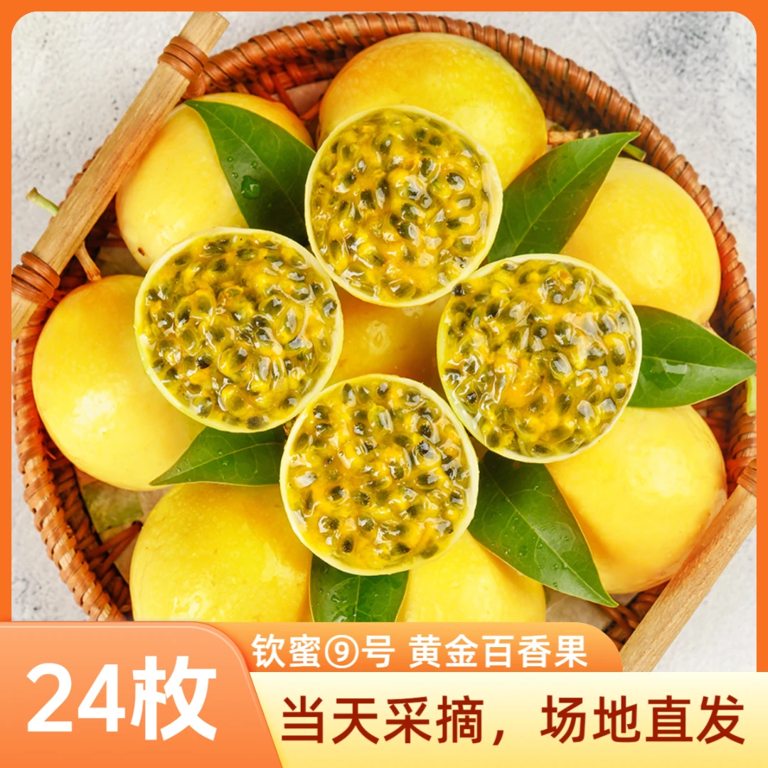 【世越哥专属】24枚钦蜜9号黄金百香果单果50g+ 新鲜采摘产地直发