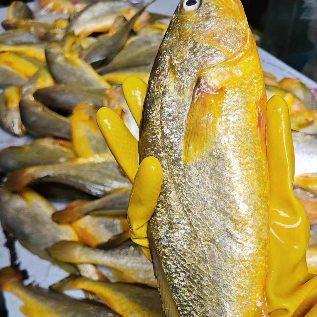 a大号黄花鱼 1-1.1斤/条 到手4条 肉质鲜嫩肉厚