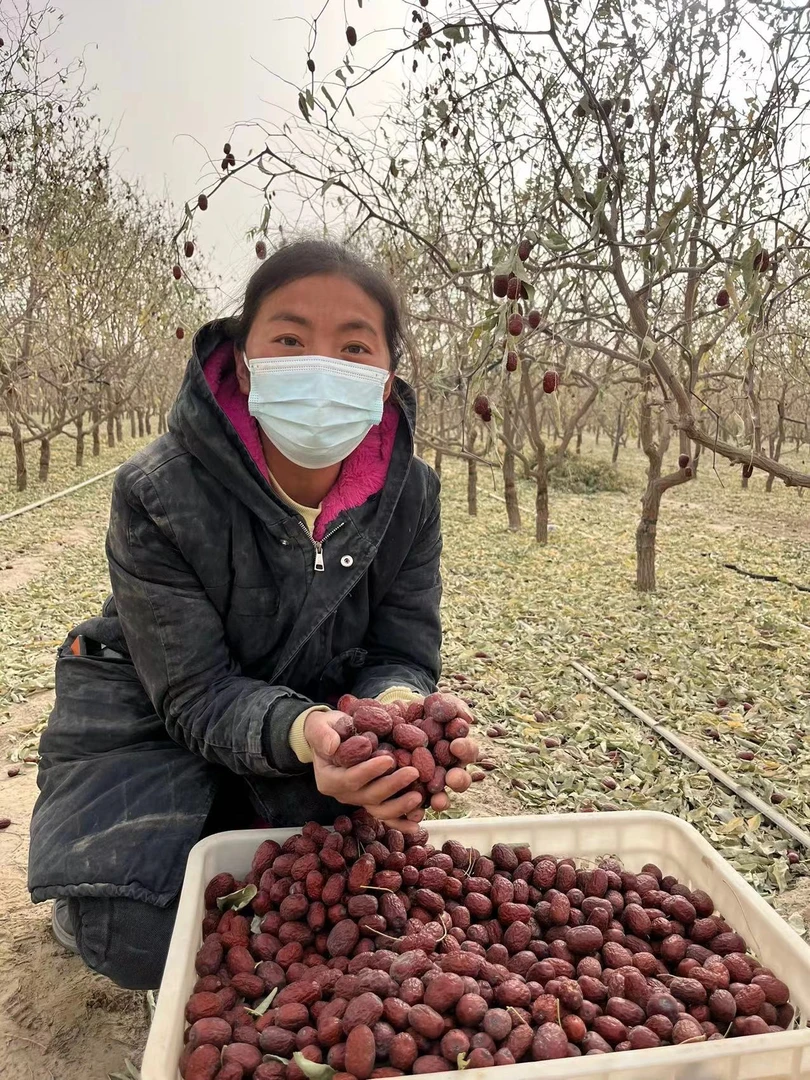 【新货】原生态未清洗新疆和田枣灰枣红枣  5斤装