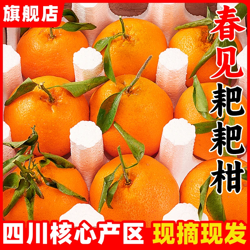 【果帆】正宗四川耙耙柑现摘发货春见特级粑粑柑2-9斤新鲜水果包邮