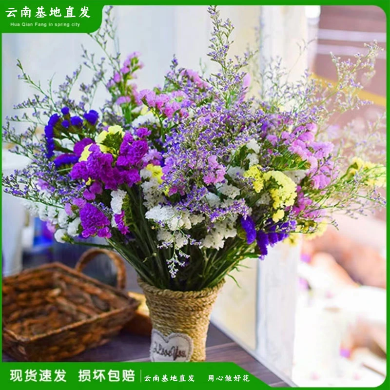 【买一束送一束】云南昆明直发勿忘我自然干花花束鲜花真插花卉礼物