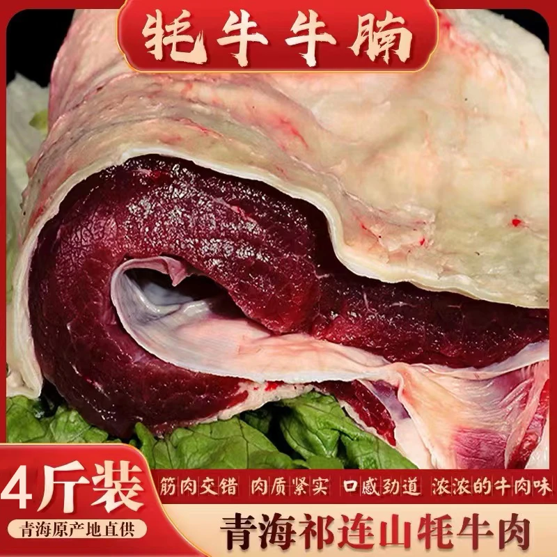 子文先生 青藏高原草膘牦牛肉 牛腩肉
