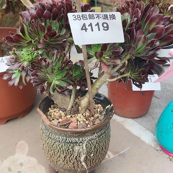 4119，满25发货三色法师缀