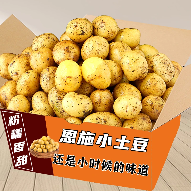 新鲜恩施小土豆农家自种现挖洋芋迷你黄皮黄心土豆皮薄5斤9斤包邮
