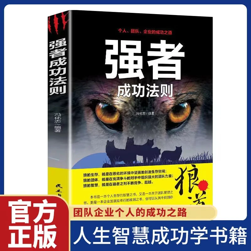 强者成功法则 团队企业个人的成功之路FT