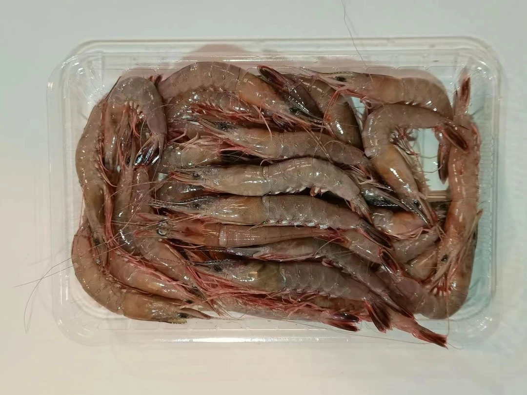 艾小英鲜冻赤虾（硬壳虾）