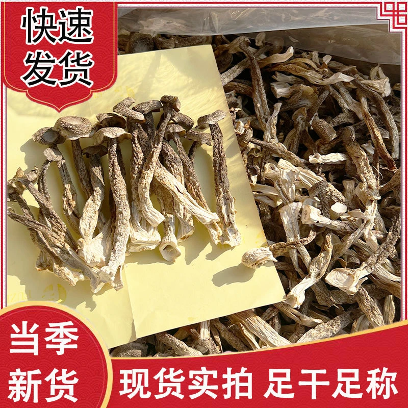 鹿茸菇干货脆脆菇古田特产炖汤煲汤食材干锅炒菜鲜美脆嫩蘑菇