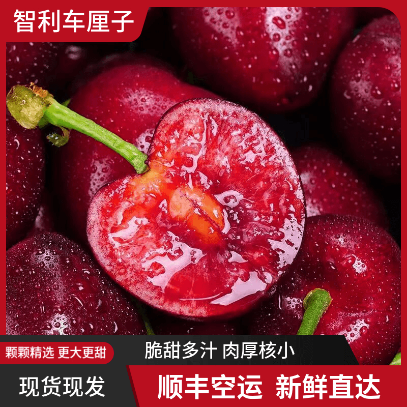 【顺丰空运】桑提娜智利空运车厘子1-5斤J-4J大果孕妇新鲜水果