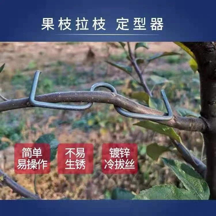 【新疆包邮】m型别枝器果树拉枝器盆栽梨树苹果树压枝弯枝定型神器