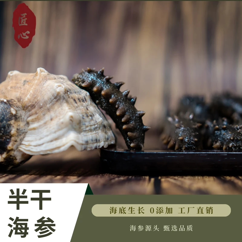 大连半干海参30头-40头/斤 大火拉缸盐海参