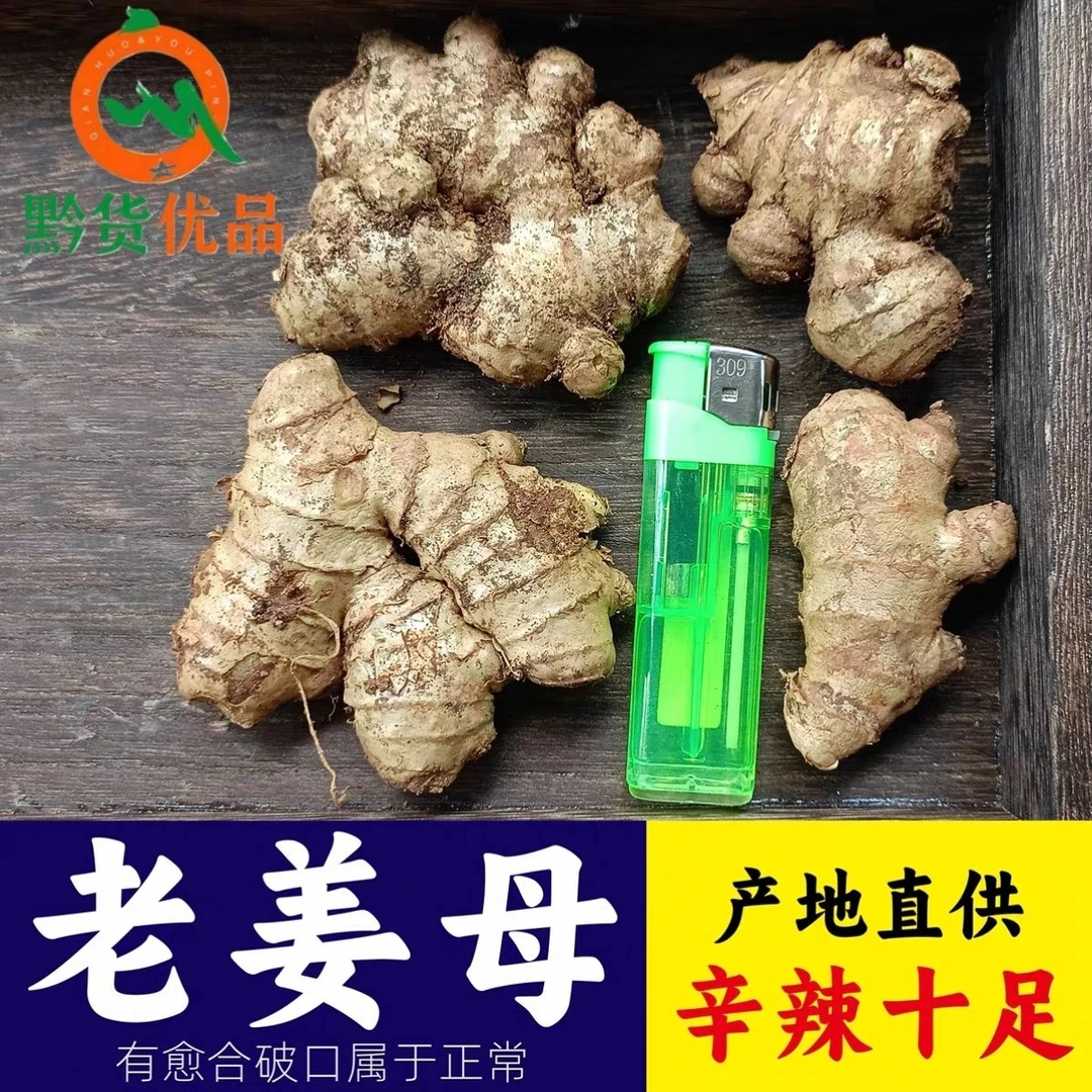 贵州正宗小黄姜老姜母新鲜生姜食用农家老黄姜正宗老姜晒干泡脚姜