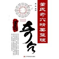 董氏奇穴精要整理9787538169379