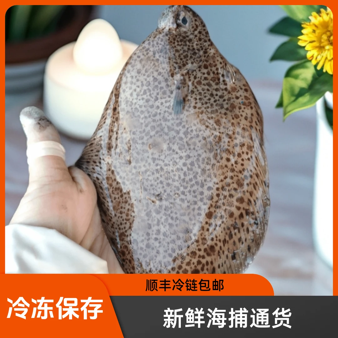 4斤高眼/鼓眼鱼 新鲜海捕通货顺丰冷链包邮