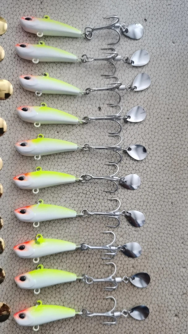 私人定制款21克密探