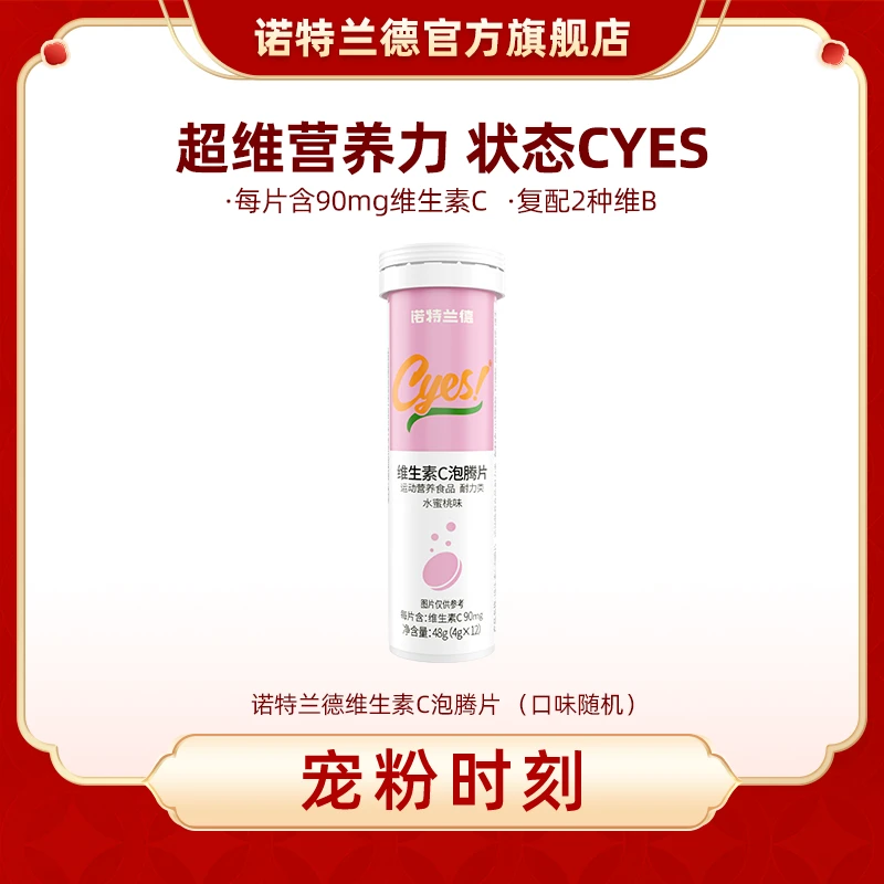 诺特兰德 维生素C泡腾片VC固体家中常备维c营养成人 12片/支 c