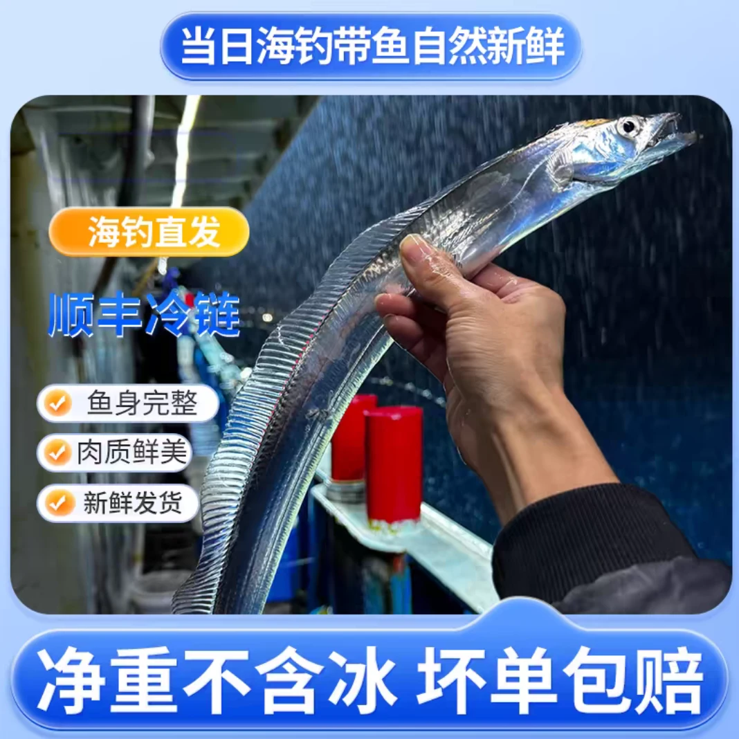 码头直发海钓带鱼带到手8条6送2到手8条海钓带鱼小眼睛海鲜现钓