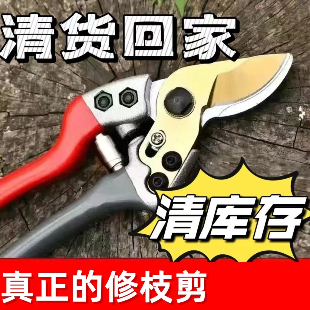 德系强力精钢剪耐用果树剪修枝剪刀家用花木葡萄修剪镐专用斧固定