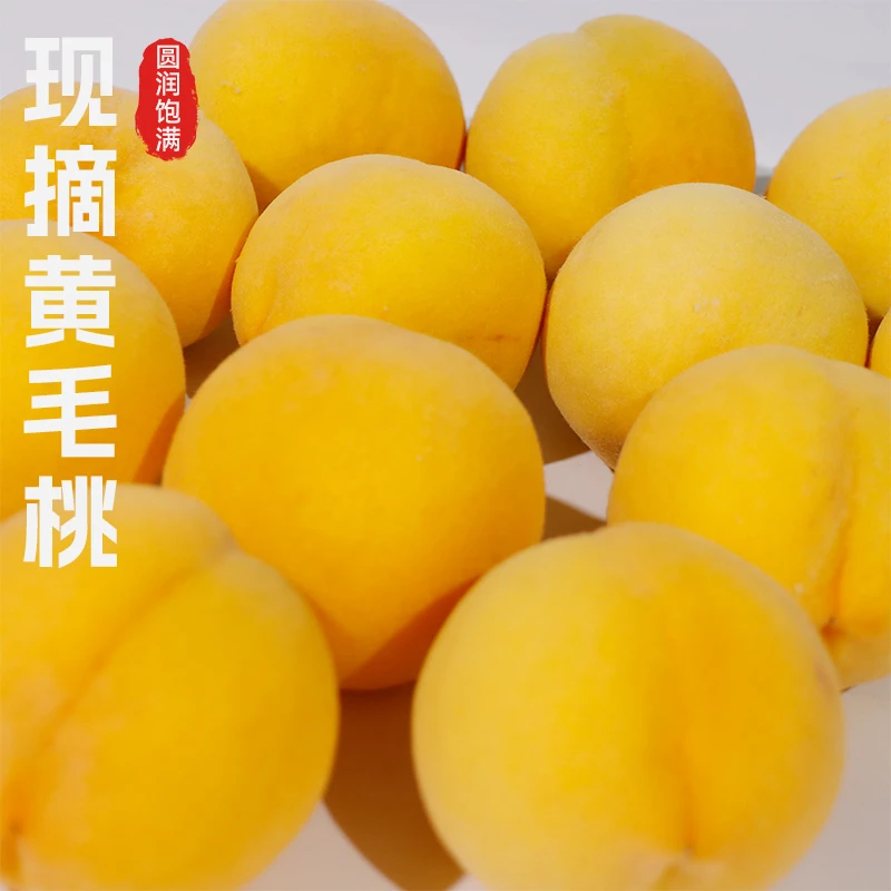 山东黄毛桃香甜可口