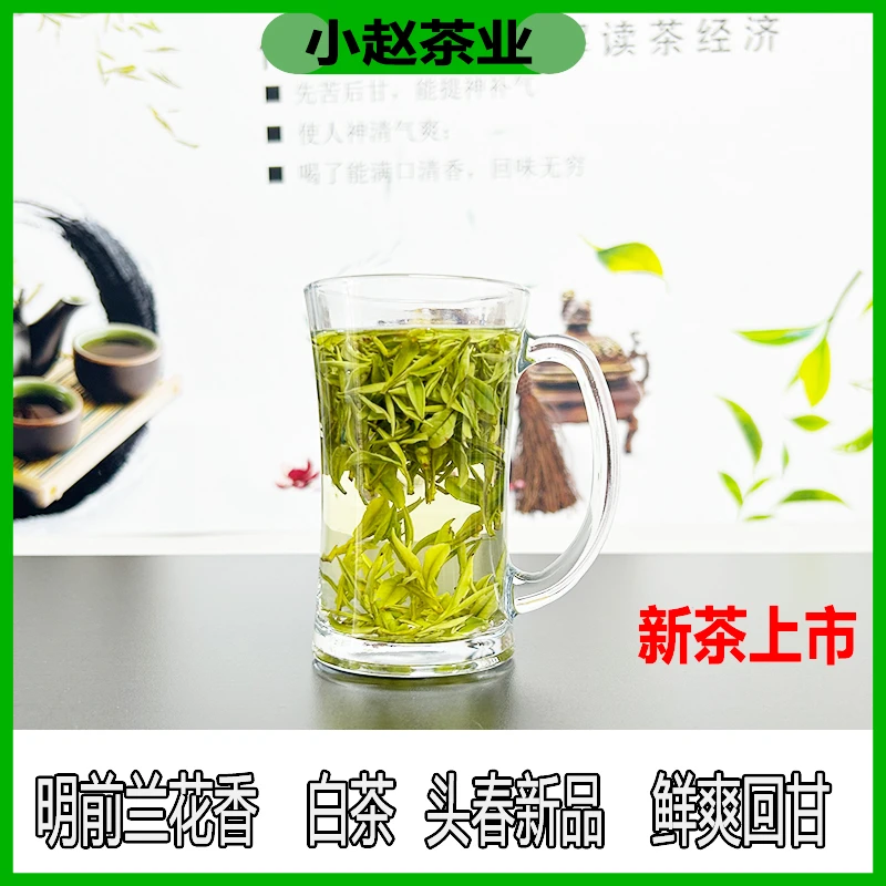 【高山云雾牙】2024年新茶安吉精选特级白茶兰花清香高山茶鲜爽回甘