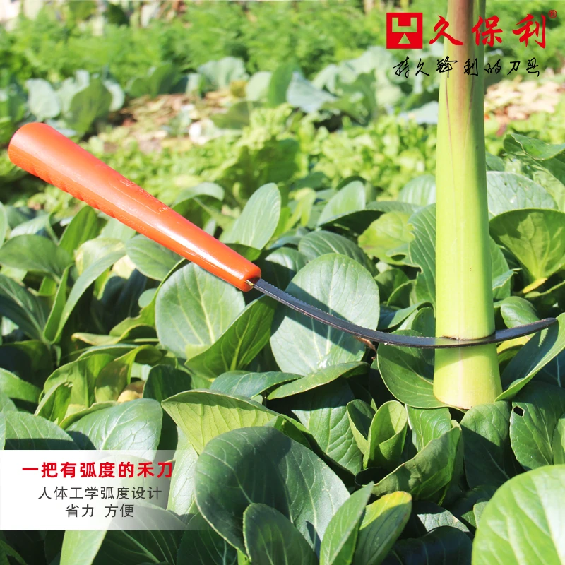 久保利碳钢农用禾刀锯齿小镰刀割韭菜韭黄小白菜稻谷收割除草锋利