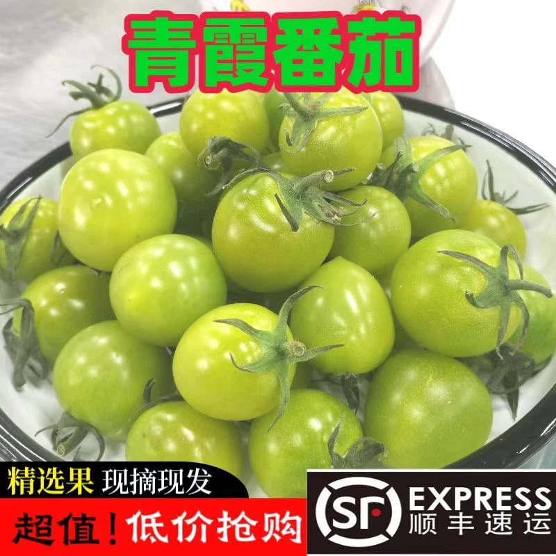 小番茄绿色现摘【顺丰包邮】新鲜青霞小番茄清甜2号圣女果超甜绿色