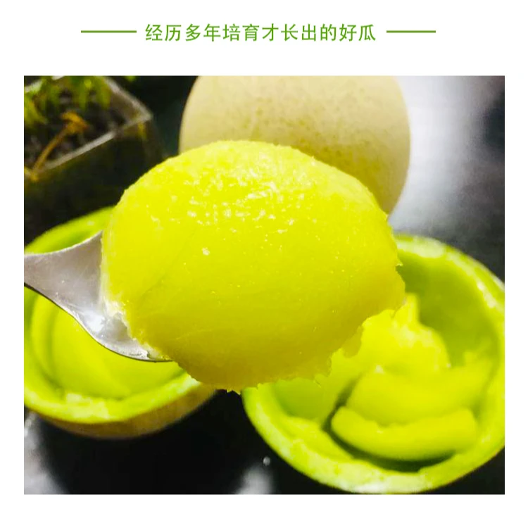 [秒杀]当季杨郎情网纹蜜瓜牛三蜜瓜鲜果香甜原产地直发3-8斤