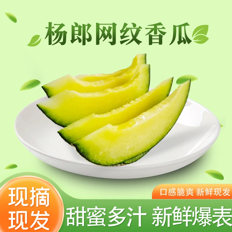 [秒杀]杨郎情网纹蜜瓜牛三蜜瓜鲜果香甜原产地直发9-12斤