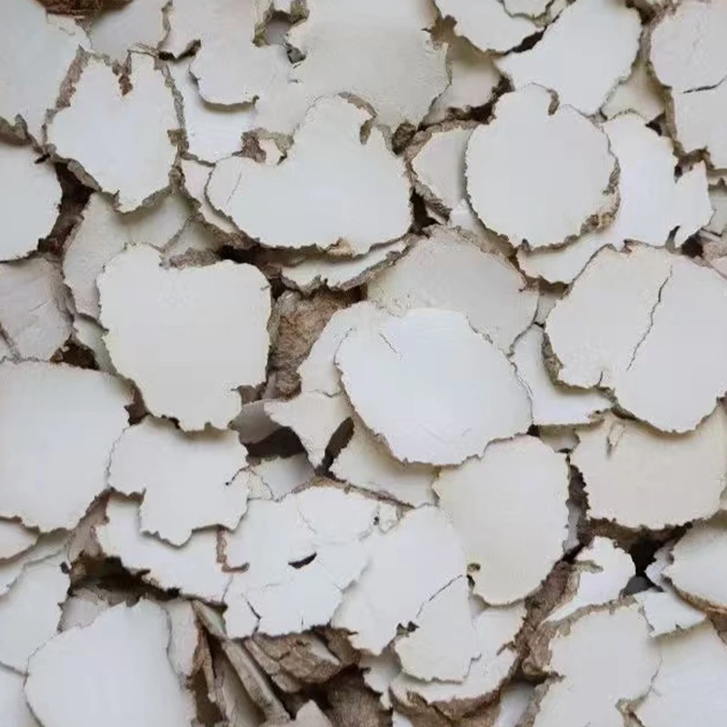 【马拉中小片虎乳菌】 精选大自然500g食用