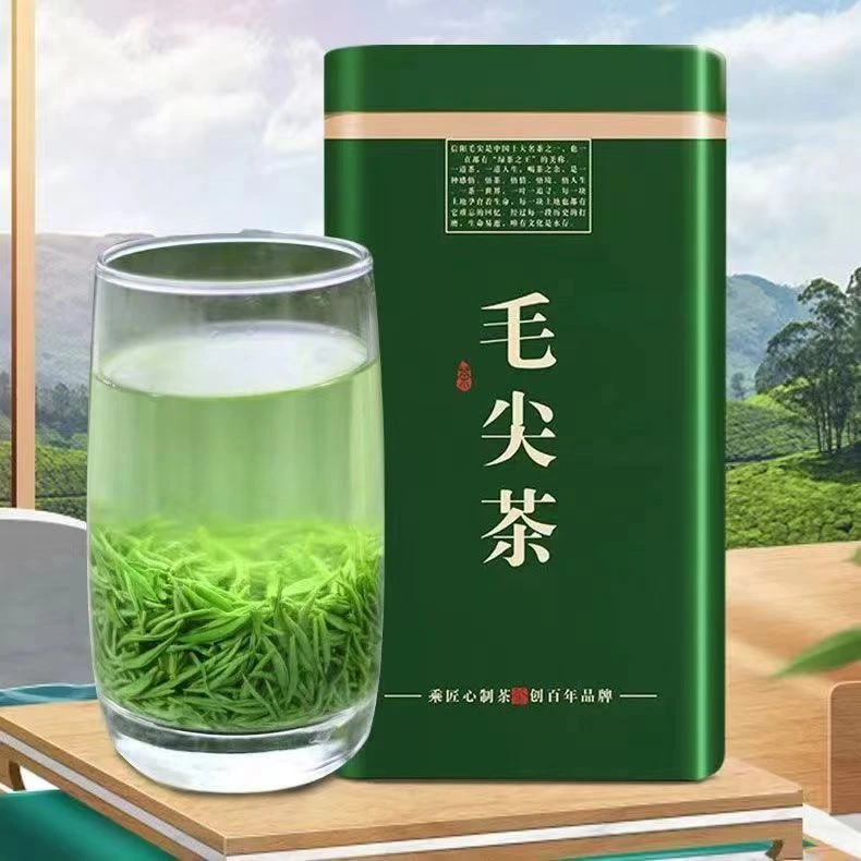信阳毛尖2025新茶鲜嫩芽精选正宗毛尖春茶好茶手工炒制嫩芽口感好