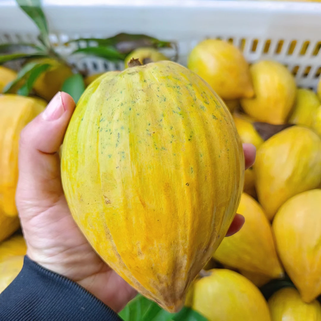 海南耀堂仙桃鸡蛋果3/5斤热带新鲜精品蛋黄果天花板香甜稀有顺丰