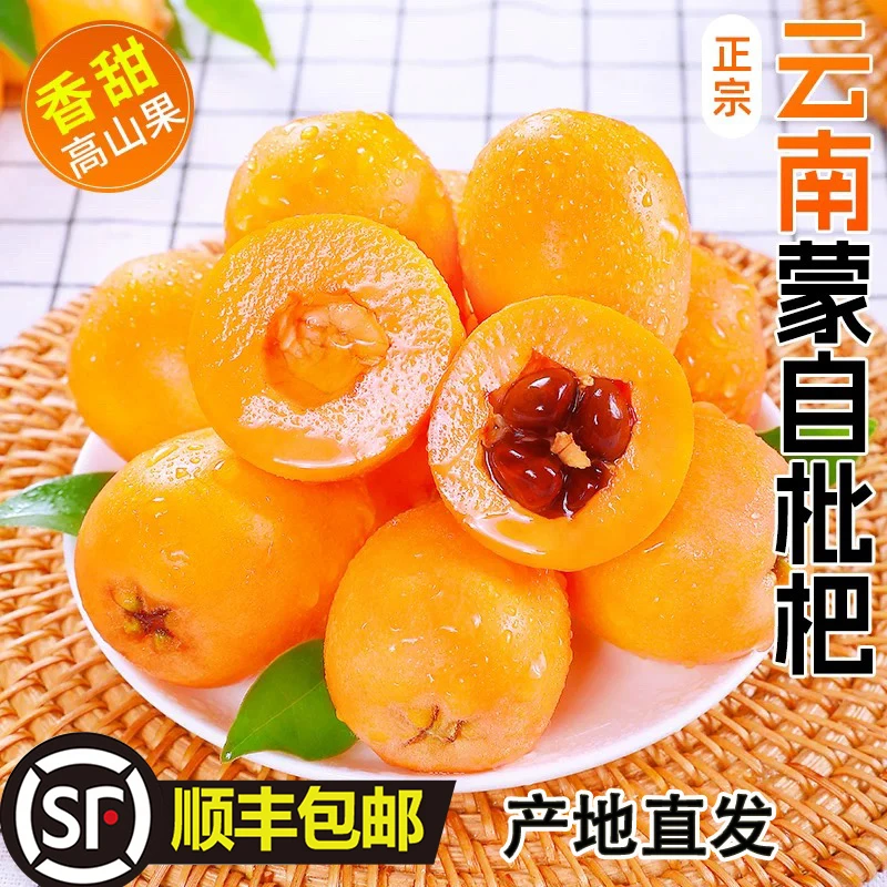 【顺丰包邮】正宗云南高山蒙自甜枇杷新鲜应季水果现摘甜琵琶头茬果