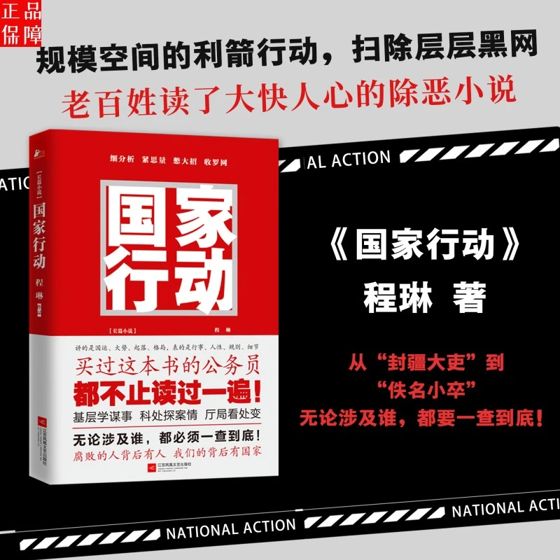 国家行动 中国历史上的腐败与反腐败 出新撕裂刑侦官场现当代文学