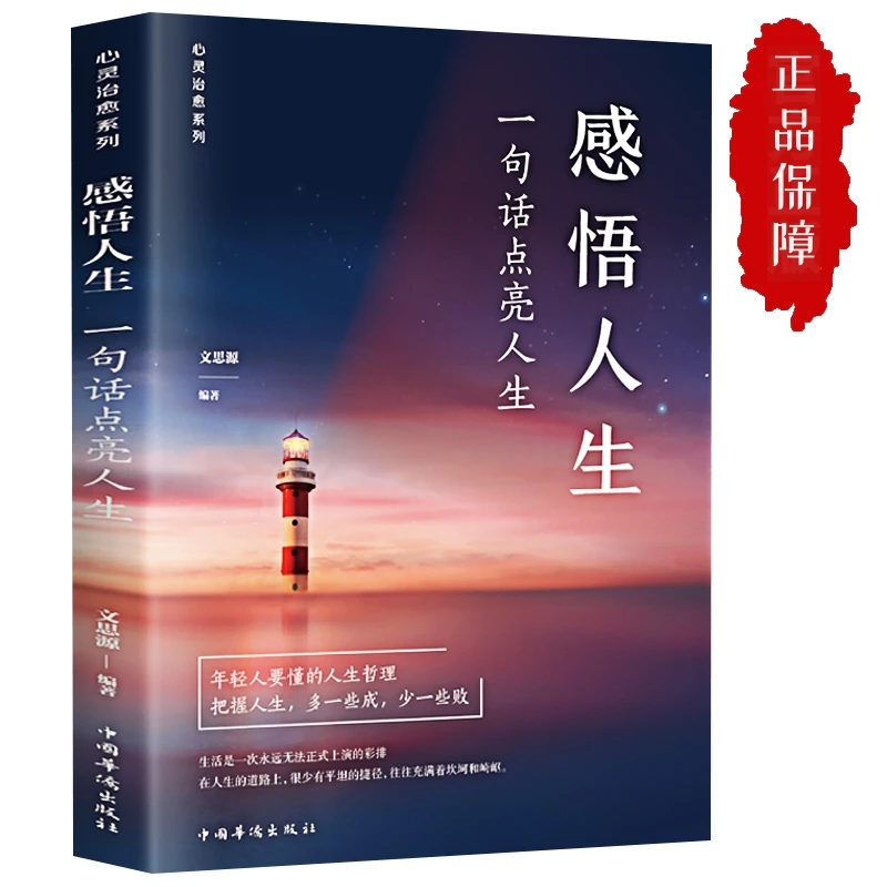 感悟人生正版 点亮人生大智慧 生命感悟心灵修养  人生感悟语录